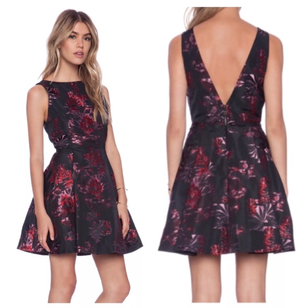 Alice and Olivia dress